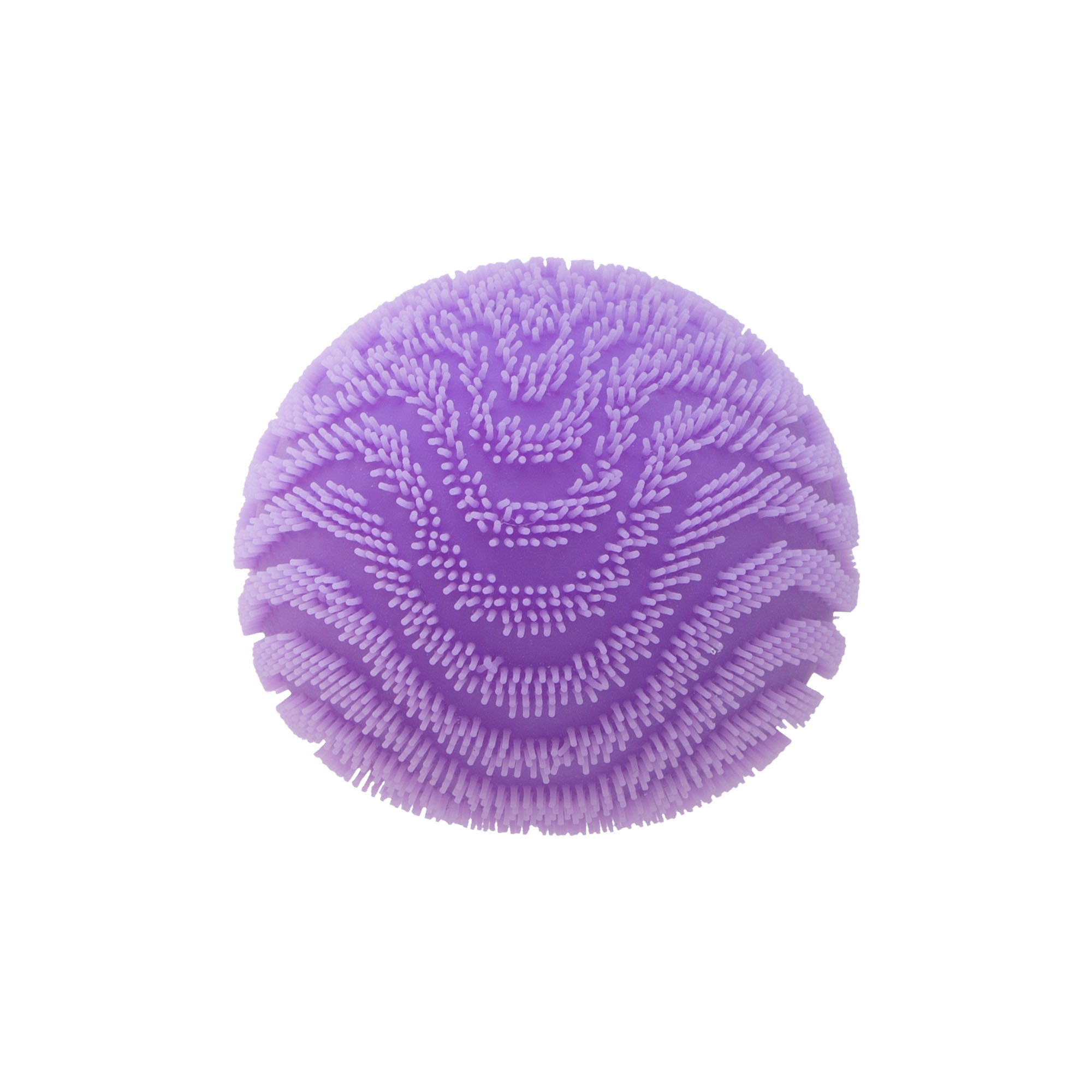 1bb820a6-01d3-5d56-b5c5-51f2c663dd94.jpg