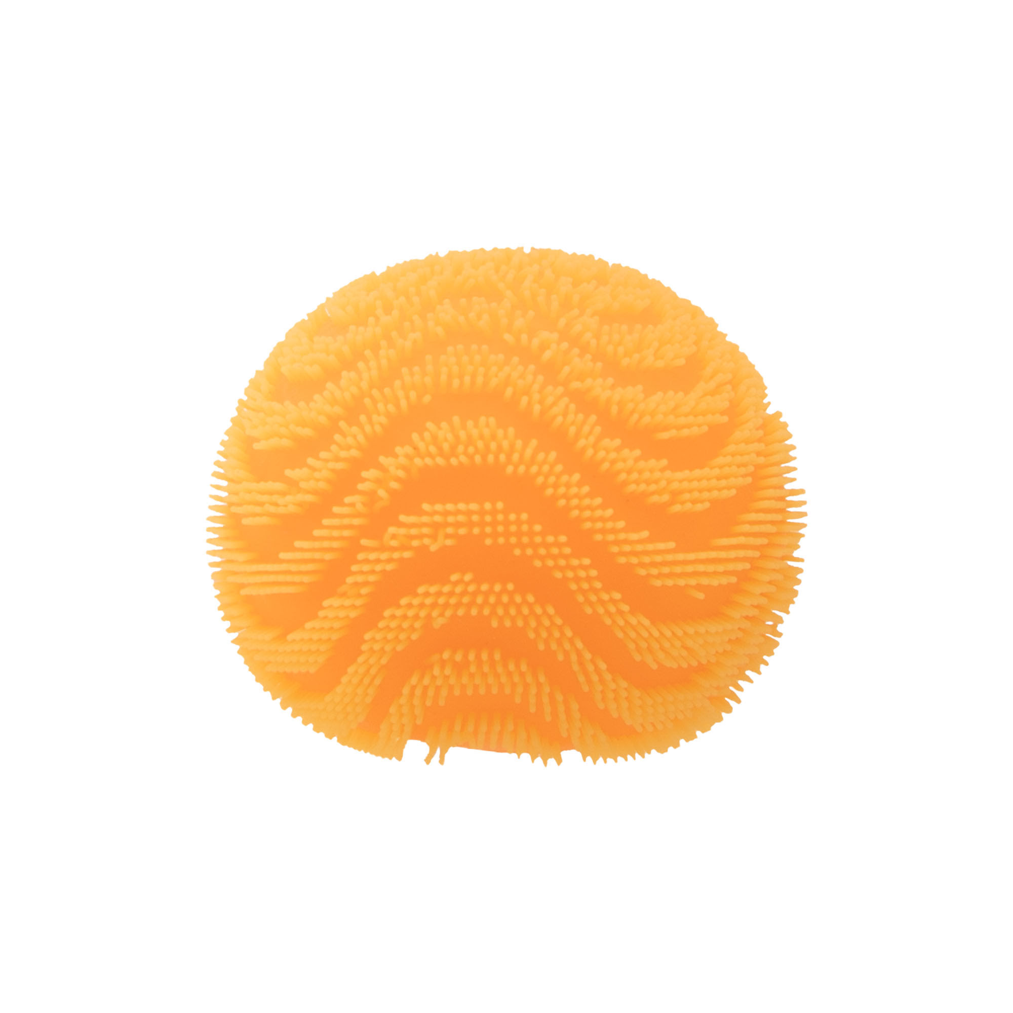 d3bf134c-b1c4-54f6-8625-6d4ddde8462b.jpg